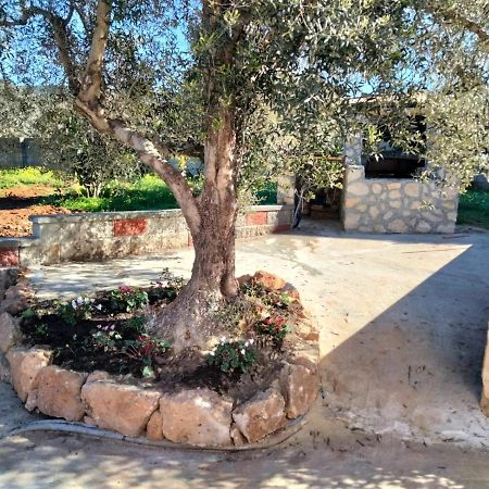 Sgm Casa Vacanze Masainas Εξωτερικό φωτογραφία