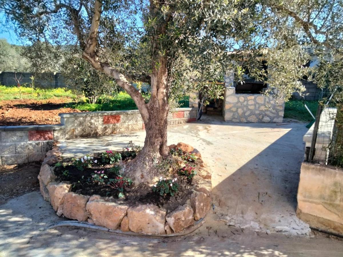 Sgm Casa Vacanze Masainas Εξωτερικό φωτογραφία